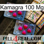 Kamagra 100 Mg 14